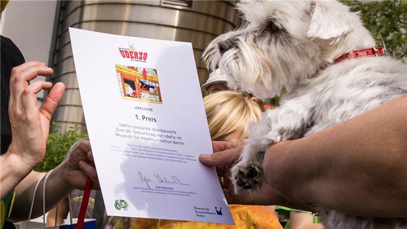 60 Jahre Idefix: Wie ein gallischer Hund die Welt erobert Der beste Idefix-Doppelgänger? Sieger-Hund Polly erhielt die Idefix-Lookalike-Contest-Urkunde. (Archivbild)