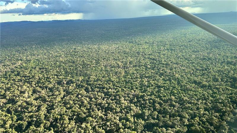 Der dichte, smaragdgrüne Regenwald wirkt wie ein endloses Paradies.