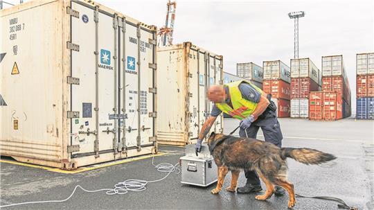 Der erfahrene Spürhund Bary erkennt auch feinste Spuren von Betäubungsmitteln in der Luftprobe.