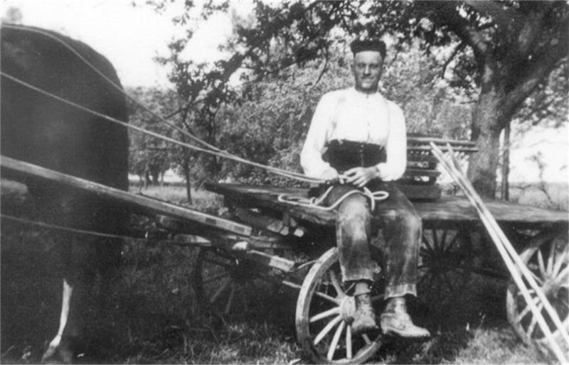 Vom „Altländer Jungen" und dem zersplitterten Holzgewehr Der französische Kriegsgefangene Pire auf dem Federwagen auf dem elterlichen Hof in Neuenkirchen .