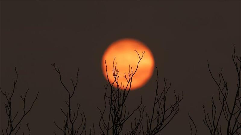 Der gesamte Himmel ist bei den Bränden in Rauch gehüllt.