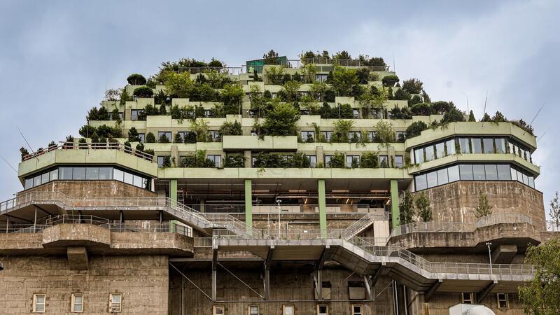 Grüner Hamburger Bunker für alle offen - Besucher begeistert Der grüne Bunker auf St. Pauli ist für alle offen