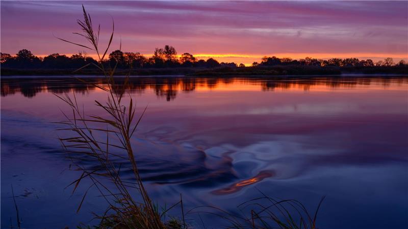 Der herbstliche Sonnenaufgang spiegelt sich auf der Oder in Brandenburg.