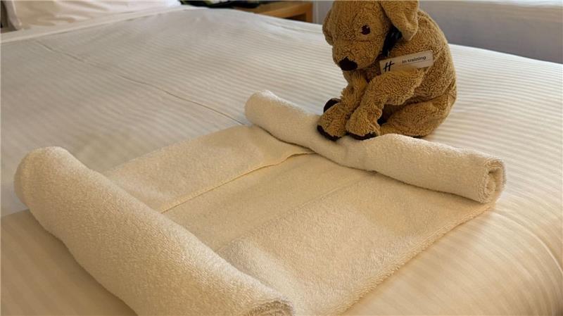 Vergessener Plüschhund Jack wird Internetstar in Australien Der kleine Stoffhund Jack macht sich auch im Housekeeping nützlich, wie Hotelmitarbeiter in Posts zeigen.