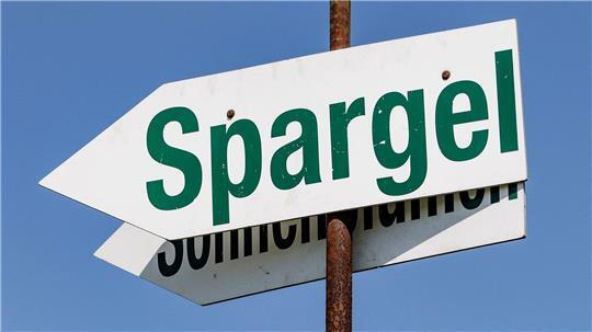 Der meiste Spargel von schleswig-holsteinischen Feldern wird direkt vermarktet. (Symbolbild)
