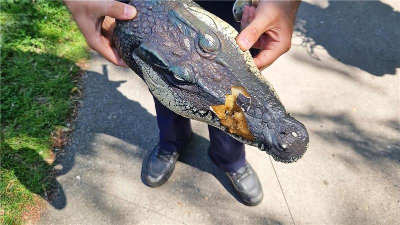 Der natürliche Lebensraum von Alligatoren liegt unter anderem im Südosten der USA.