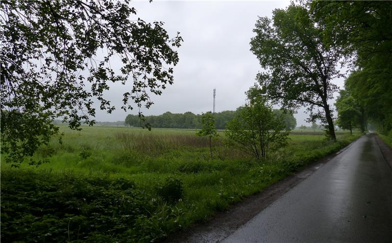 Der neue Austragungsort für das Shining-Festival liegt an der Straße „An den Reddern“ am Ortsausgang von Himmelpforten Richtung Mittelsdorf-Hammah. Foto Eidtmann