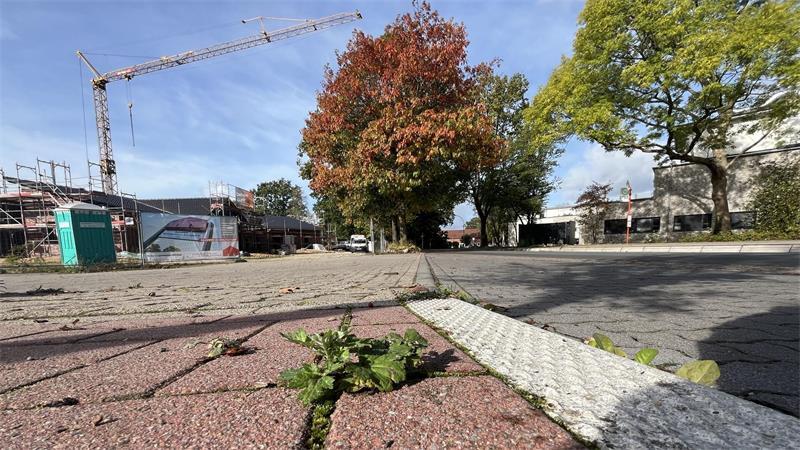 Diese Idee könnte ein „Baummassaker“ in Fredenbeck verhindern Der neue Fußweg soll erst ab dieser Einmündung beginnen. So bleiben die Bäume hinten bestehen.