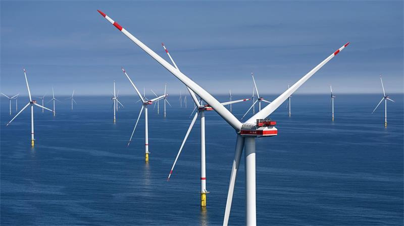 Der neue Windpark liegt vor Borkum. (Symbolbild)