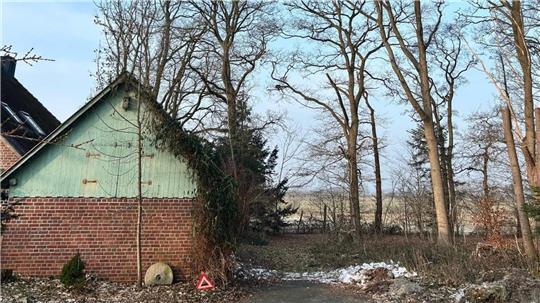 Der öffentliche Weg liegt zwischen der kleinen Scheune und den Bäumen. Eine Esche war über den Weg und auf die Scheune gefallen.