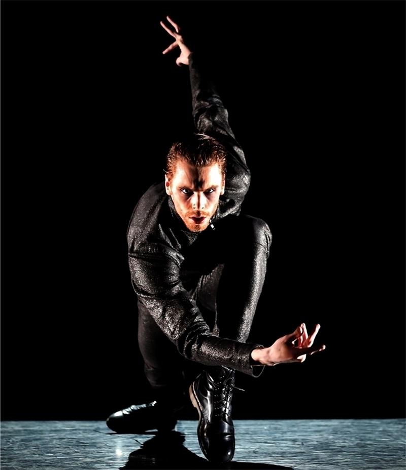 Der schwarze Schwan . Foto Schulze