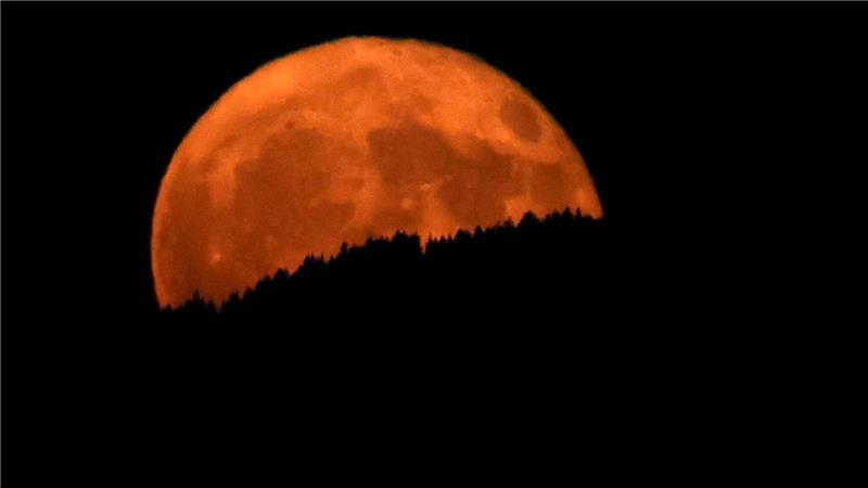 Bilder des Tages Der sogenannte Erdbeermond geht über einem Bergwald in Bayern auf.