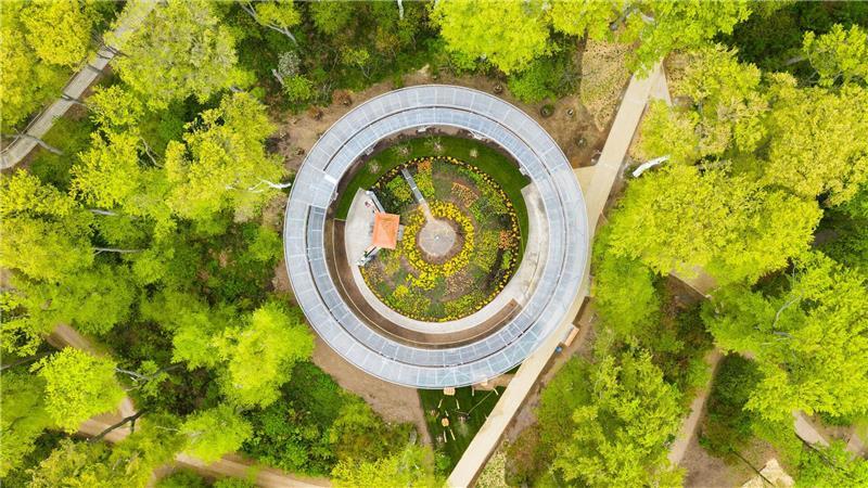 Der sogenannte „Waldtempel“ von oben aus gesehen: Im Kreis herum geht es immer höher.
