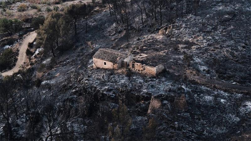 Der tödliche Waldbrand im spanischen Andalusien hat ein Stück Land in Asche verwandelt.