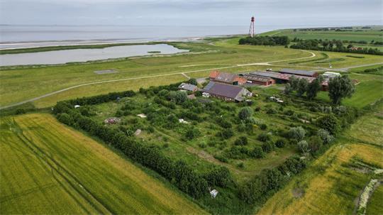 Der verlassene Campingplatz Dyksterhus in Ostfriesland soll versteigert werden.
