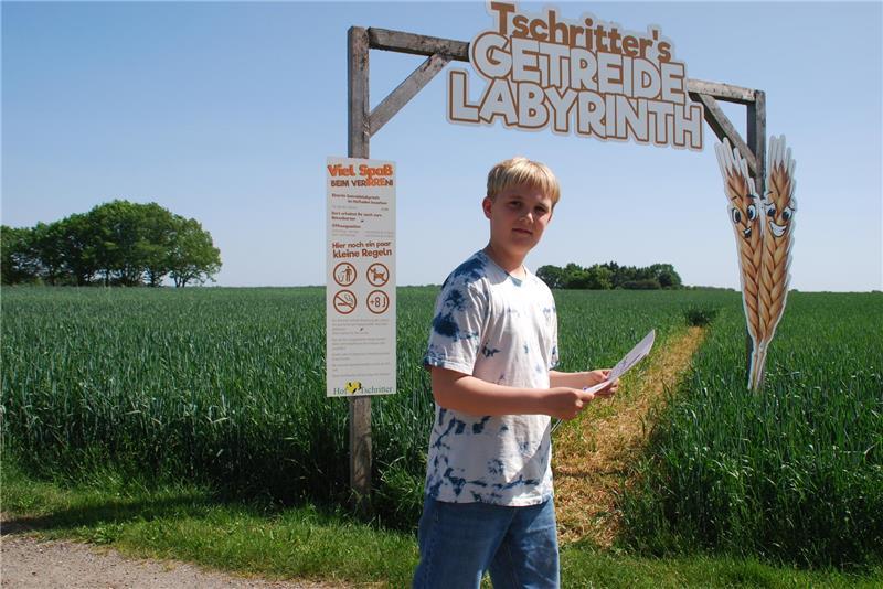 Hofcafé Tschritter in Nindorf: Labyrinth und leckere Torten Der zehnjährige Leo Tschritter hat bei der Anlage des Getreidelabyrinths geholfen.