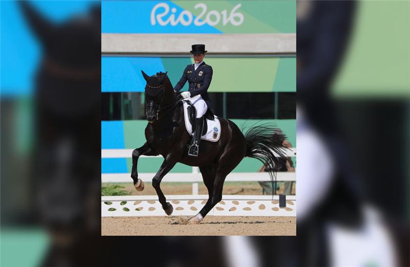 Desperados FRH unter seiner Reiterin Kristina Bröring-Sprehe bei den Olympischen Spielen in Rio im Sommer 2016. Gezüchtet wurde der Erfolgshengst von Familie Schütt in Hemmoor. Foto: dpa/Fazry Ismail