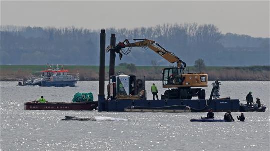 Detaillierte Infos zum Fortschritt der Rettungsaktion gibt es von den Initiatoren nicht.