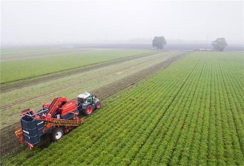 Deutlich höhere Düngemittelkosten schlagen bei vielen Bauern in Deutschland hart ins Kontor. Foto: dpa