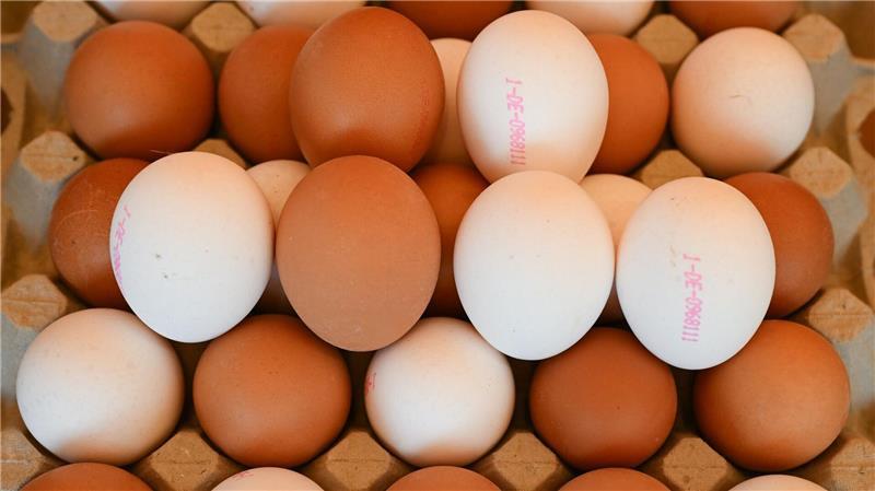 Preise und Transparenz: So essen die Deutschen Deutsche achten auf regionale Produkte. (Symbolbild)