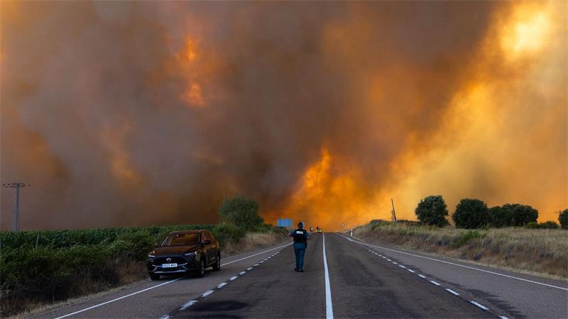 Dichter Rauch während eines Waldbrandes am Rande einer Landstraße in Spanien (Archivbild)