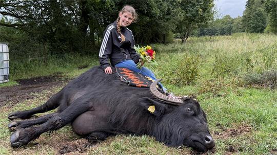 Die 14-jährige Ella kuschelt mit Wasserbüffel Ruby.