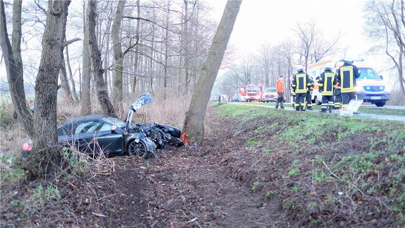 Die 21-jährige Frau aus dem Kreis Cuxhaven krachte gegen einen Baum. Foto: Hillyer-Funke/Feuerwehren Samtgemeinde Oldendorf-Himmelpforten