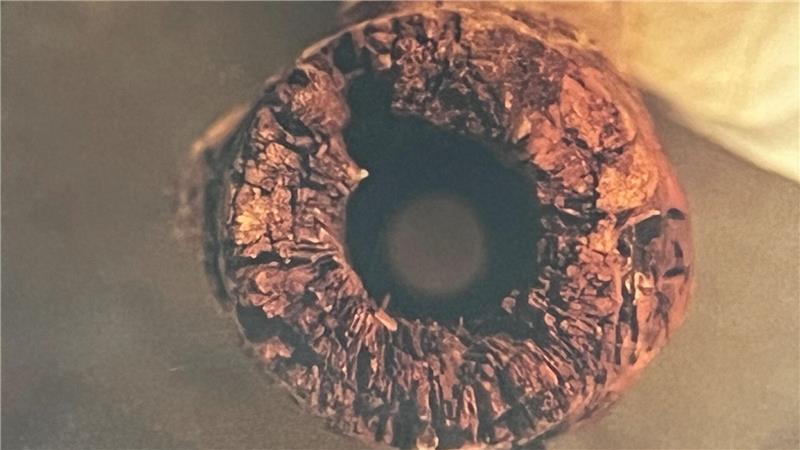 Die 500 Jahrte alte Wasserleitung des Burgmannen Melchior Schulte, entdeckt von Archäologen.