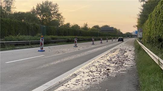Die A27 musste aufwendig von den Fischabfällen gereinigt werden.