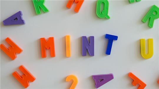 Die Abkürzung MINT steht für die Fächer Mathematik, Informatik, Naturwissenschaften und Technik. (Symbolbild)