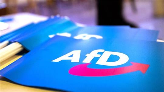 Die AfD Göppingen wirbt mit einer Stimme von Dr. Stefanie Müller - doch die Person gibt es gar nicht.