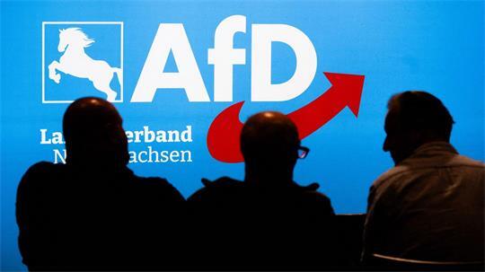 Die AfD kann viele ihrer kommunalen Mandate nicht besetzen. (Archivbild)