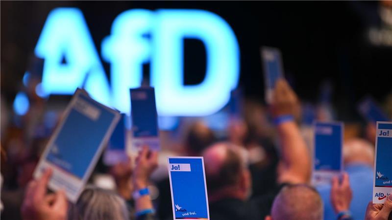 Die AfD will ihre neue Jugendorganisation stärker an sich binden. (Archivbild)