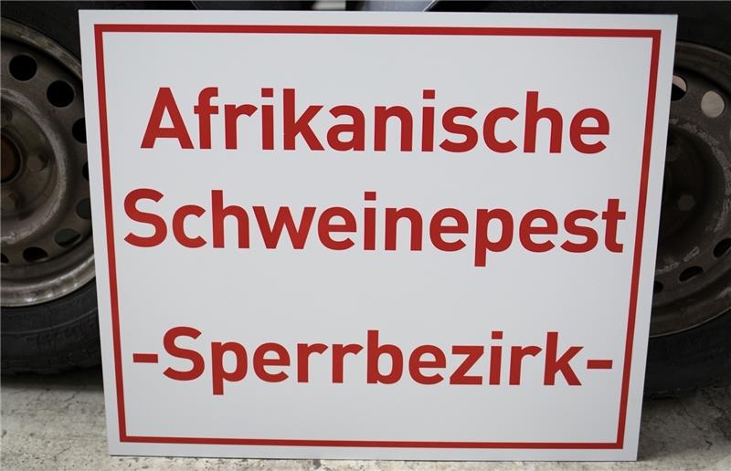 Die Afrikanische Schweinepest ist nun auch in Westeuropa aufgetaucht: Nur 60 Kilometer entfernt von der deutschen Grenze sind in Belgien Fälle festgestellt worden. Foto dpa