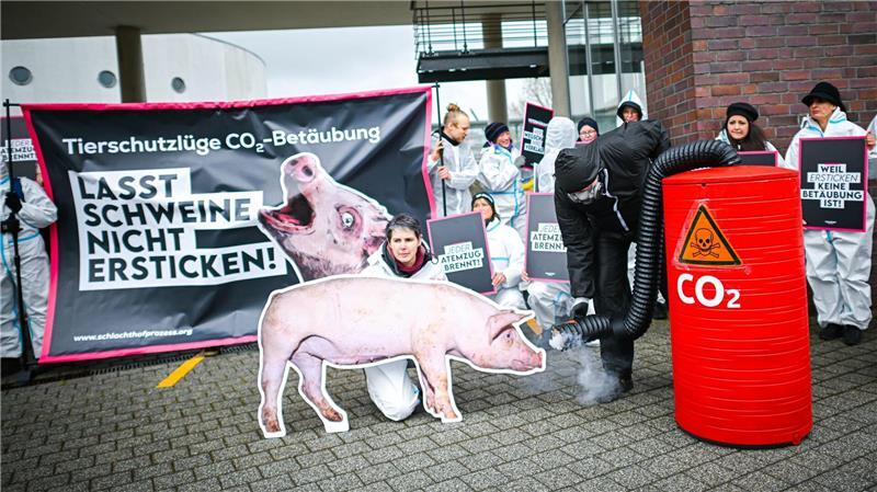 Heimliche Videos aus Schlachthof – Aktivisten müssen zahlen Die Aktivisten und der Landestierschutzverband Niedersachsen reichten Klage vor dem Verwaltungsgericht gegen das Veterinäramt des Landkreises Vechta ein. (Archivfoto)