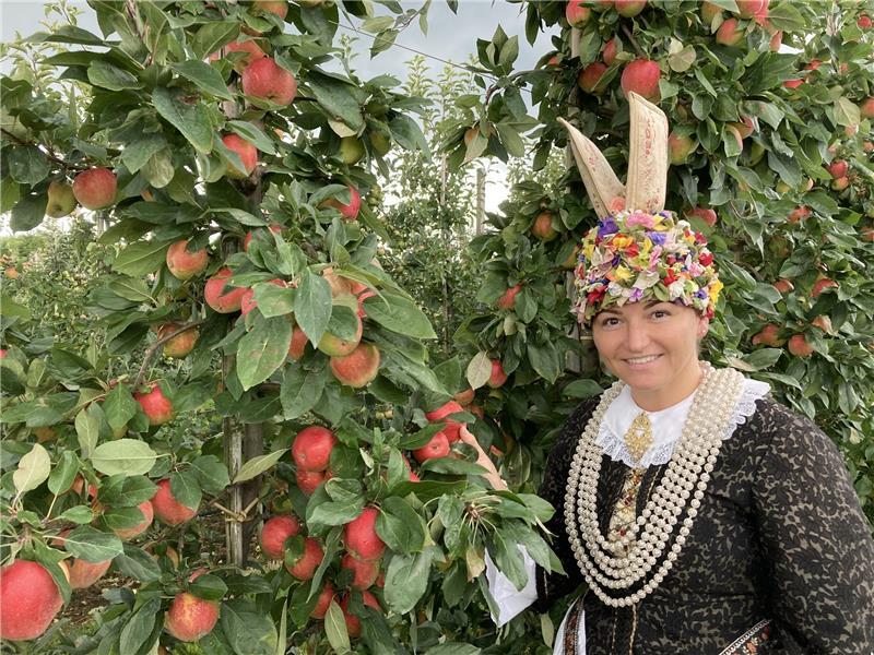 Die Altländer Blütenkönigin Marina Tajger pfückt die ersten Äpfel. Foto: Vasel<br />