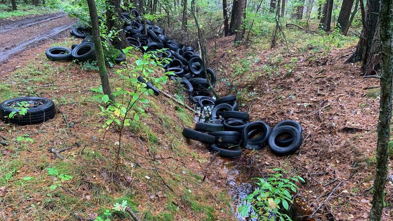 Riesige Altreifenhaufen in Wald gekippt Die Altreifen sind quer am Waldrand entlang abgekippt worden.