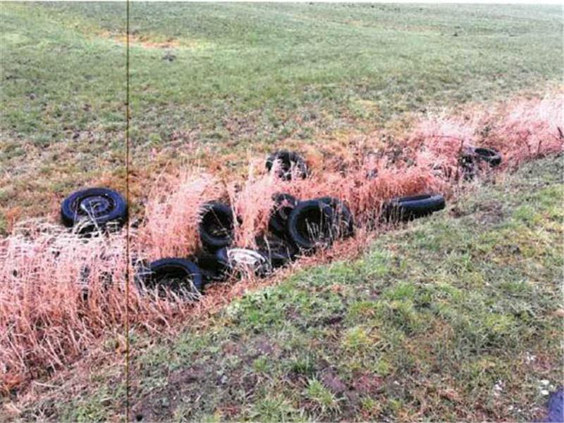 Die Altreifen wurden unerlaubt in der Natur entsorgt. Foto: Polizei