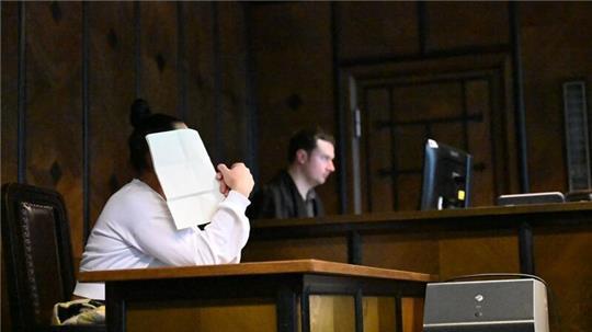 Die Angeklagte stand Mittwoch vor dem Amtsgericht in Bergedorf.