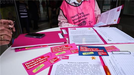 Die Anti-Gender-Initiative macht den Hamburger Senat für das drohende Scheitern verantwortlich. (Archivbild)