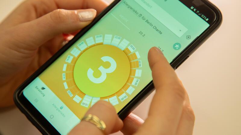 Pollen-App liefert Alltagshilfe für Allergiker Die App „Pollen+“ zeigt hier eine mittelmäßige Pollenbelastung an.