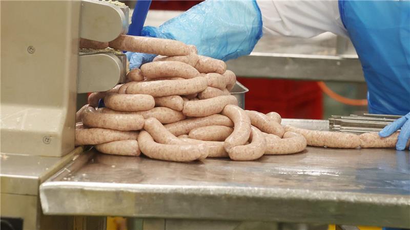 Die Arbeitsbedingungen in Schlachthöfen waren vor allem während der Corona-Pandemie in den Fokus gerückt. (Archivbild)