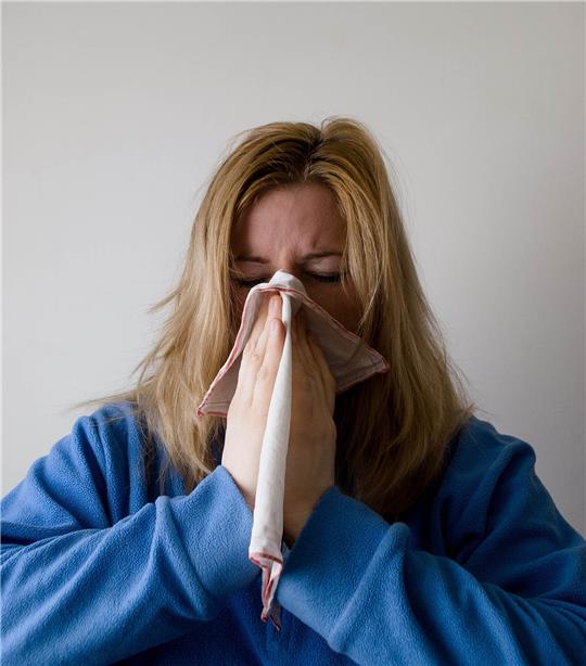 Die Arbeitsgemeinschaften Asthma- und Neurodermitisschulungen haben sich in Buxtehude zu neuen Behandlungsmöglichkeiten für Allergien, Asthma und Long-Covid ausgetauscht. Symbolbild: Mojca-Peter / Pixabay