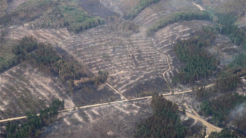 Die Aufnahme aus einem Flugzeug zeigt das Waldbrandgebiet im Hürtgenwald.
