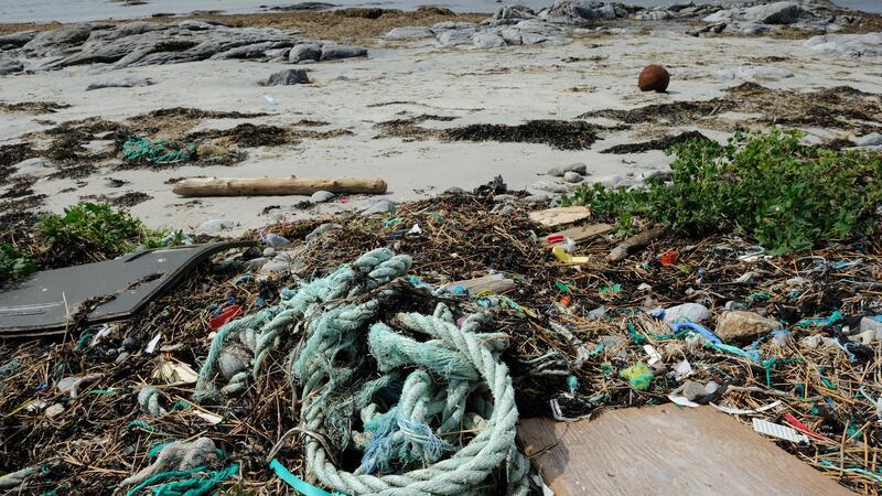 Fotoausstellung „Strandgut?“ im Natureum Niederelbe Die Ausstellung "Strandgut?" informiert über die Vermüllung der Meere.