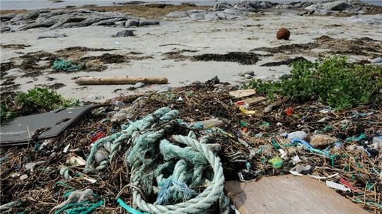 Die Ausstellung "Strandgut?" informiert über die Vermüllung der Meere.