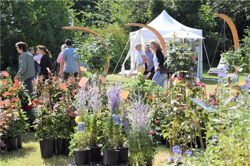 Die Auswahl an Pflanzen ist weniger geworden. Hier wird das Herbstangebot für den heimischen Garten vor schwebenden Holzliegen präsentiert.