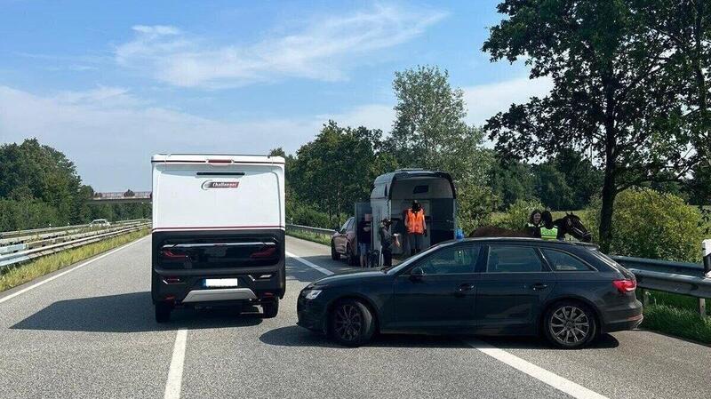 A27: Pferd im Anhänger verursacht Vollsperrung Die Autobahn musste für die Bergung des Tieres vorübergehend gesperrt werden.