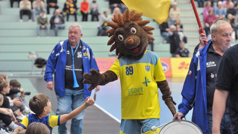 Die BSV-Fans begleiten die Mannschaft am Samstag nach Bad Wildungen.