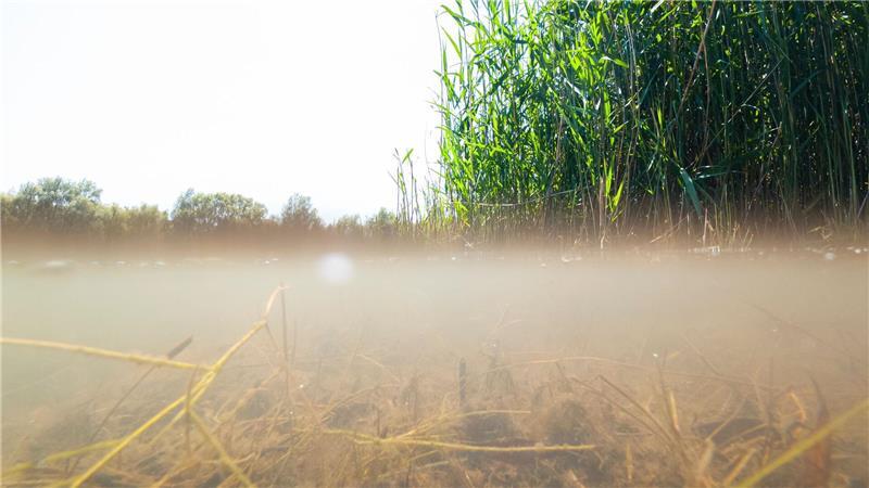 Zwei Ausnahmen trüben die Qualität der Badegewässer Die Badestelle Diethe-Langern im Landkreis Nienburg ist mit mangelhafter Wasserqualität eine Ausnahme.